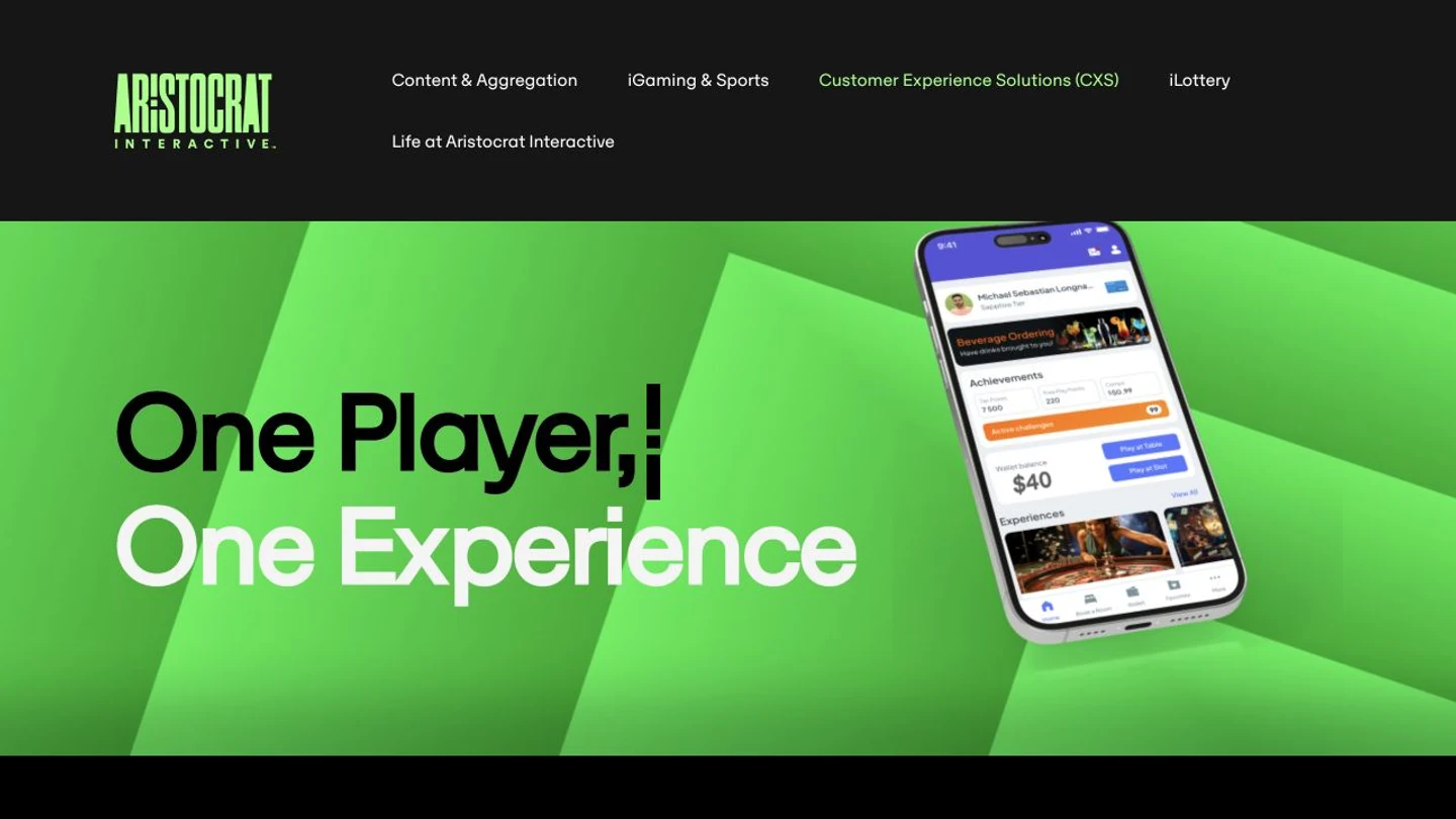 Customer Experience Solutions vendor screenshot