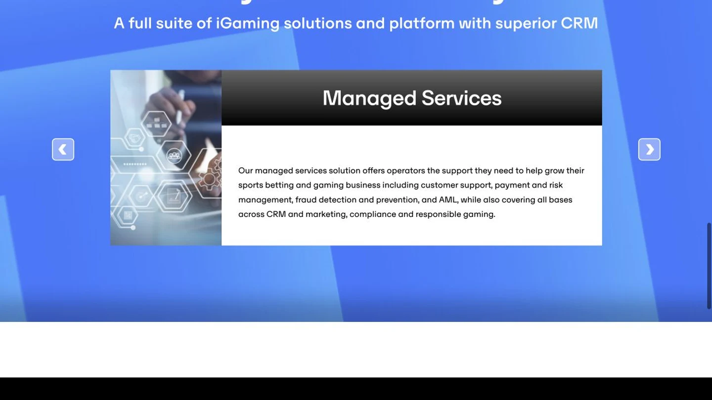 Managed Services vendor screenshot